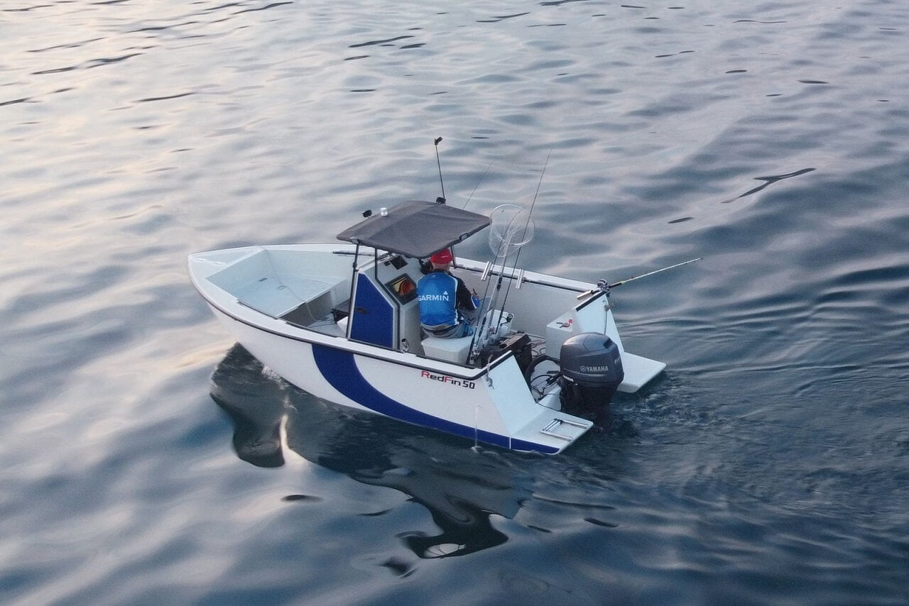 63ce4b6e14bd052238e4ef56 Blue RefFin50 3 2 p 1600 1 1